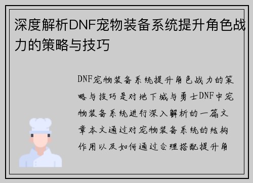 深度解析DNF宠物装备系统提升角色战力的策略与技巧